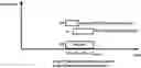Fig. 01 - Dropping a configured transmission based on transmission power and feedback channel priority