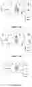 Fig. 09 - Electronic device and method for wireless communication, and computer-readable storage medium for guard band based on interference caused by overlapping of different radio access technologies