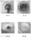 Fig. 02 - Process of manufacturing edible microextruded product comprising protein,composition thereby obtained and the use thereof
