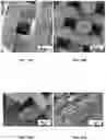 Fig. 09 - Process of manufacturing edible microextruded product comprising protein,composition thereby obtained and the use thereof