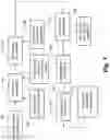 Fig. 02 - Pet Food Formulation