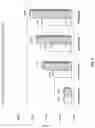 Fig. 02 - HAIR LIGHTENING COMPOSITIONS AND METHODS OF USE