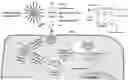 Fig. 01 - UNIMOLECULAR NANOPARTICLES FOR EFFICIENT DELIVERY OF THERAPEUTIC RNA