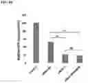 Fig. 17 - UNIMOLECULAR NANOPARTICLES FOR EFFICIENT DELIVERY OF THERAPEUTIC RNA