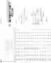 Fig. 02 - METHOXYCHALCONE DERIVATIVES AND USES THEREOF