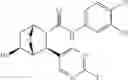 Fig. 167 - Compounds and compositions for inducing chondrogenesis
