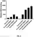 Fig. 04 - RNA Replicon Encoding a Stabilized Corona Virus Spike Protein