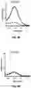 Fig. 07 - RNA Replicon Encoding a Stabilized Corona Virus Spike Protein