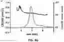 Fig. 08 - RNA Replicon Encoding a Stabilized Corona Virus Spike Protein