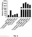 Fig. 09 - RNA Replicon Encoding a Stabilized Corona Virus Spike Protein