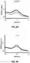Fig. 13 - RNA Replicon Encoding a Stabilized Corona Virus Spike Protein