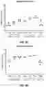 Fig. 16 - RNA Replicon Encoding a Stabilized Corona Virus Spike Protein
