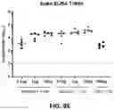 Fig. 17 - RNA Replicon Encoding a Stabilized Corona Virus Spike Protein