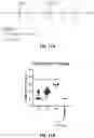 Fig. 20 - RNA Replicon Encoding a Stabilized Corona Virus Spike Protein