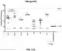 Fig. 22 - RNA Replicon Encoding a Stabilized Corona Virus Spike Protein
