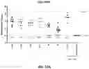 Fig. 24 - RNA Replicon Encoding a Stabilized Corona Virus Spike Protein