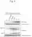 Fig. 06 - METHOD FOR INCREASING LENTIVIRAL VECTOR PRODUCTION