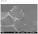 Fig. 02 - Ferrite-based stainless steel having excellent processability and high-temperature strength and method for manufacturing same