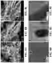 Fig. 09 - Magnetic carbon nanomaterials and methods of making same