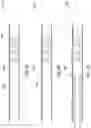 Fig. 07 - Well intervention-less control of perforation formation and isolation