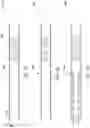 Fig. 08 - Well intervention-less control of perforation formation and isolation