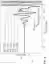 Fig. 09 - Reduction of a tool wave excited by a transmitter of a well logging tool