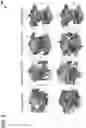 Fig. 06 - STOCHASTIC BAG GENERATOR