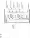 Fig. 03 - METHOD AND APPARATUS FOR DETERMINING A LOCATION OF A SHARED VEHICLE PARK POSITION