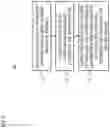 Fig. 06 - METHOD AND APPARATUS FOR DETERMINING A LOCATION OF A SHARED VEHICLE PARK POSITION