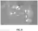 Fig. 09 - LITHIUM METAL FOILS WITH LOW DEFECT DENSITY