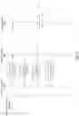Fig. 06 - MIMO AND BANDWIDTH SIGNALING IN MILLIMETER-WAVE SYSTEMS