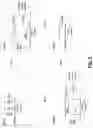 Fig. 07 - Transmitting Signals Using Directional Diversity Over a Network