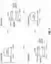 Fig. 09 - Transmitting Signals Using Directional Diversity Over a Network