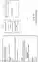 Fig. 02 - Software application architecture