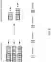Fig. 09 - Terminal, radio communication method, base station, and system