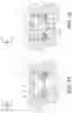 Fig. 13 - Sensor for an article of footwear