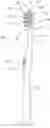 Fig. 01 - Oral Care Implement