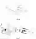 Fig. 02 - Juice extractor
