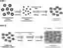 Fig. 01 - NANOPARTICLE/HYDROGEL COMPLEXT FOR DRUG CARRIER