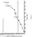 Fig. 09 - Modified release pharmaceutical compositions of huperzine and methods of using the same