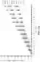 Fig. 09 - HIGH PENETRATION COMPOSITIONS AND USES THEREOF