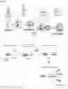 Fig. 02 - Enhancing autophagy or increasing longevity by administration of urolithins