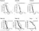 Fig. 07 - Enhancing autophagy or increasing longevity by administration of urolithins