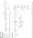 Fig. 40 - Enhancing autophagy or increasing longevity by administration of urolithins