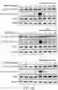 Fig. 06 - Methods for treating oral cancers