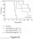 Fig. 07 - PI3K INHIBITORS AND USES THEREOF