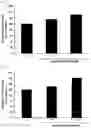 Fig. 02 - Composition for preventing or treating muscular diseases, or for improving muscular functions, containing ganglioside