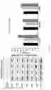 Fig. 06 - Composition for preventing or treating muscular diseases, or for improving muscular functions, containing ganglioside