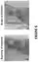 Fig. 07 - Formulation based on medicinal plant, or part or extract thereof, use of the formulation and product including said formulation