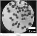 Fig. 02 - MICROCARRIER FOR EMBOLIZATION AND PREPARATION METHOD THEREFOR